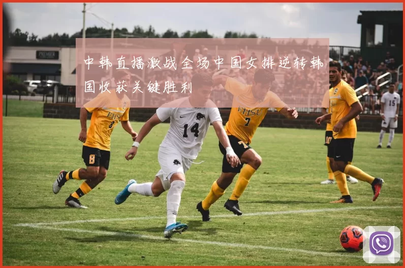 中韩直播激战全场中国女排逆转韩国收获关键胜利