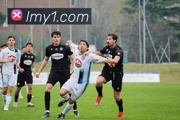 开云手机入口官网 - 开云online(中国)全站App